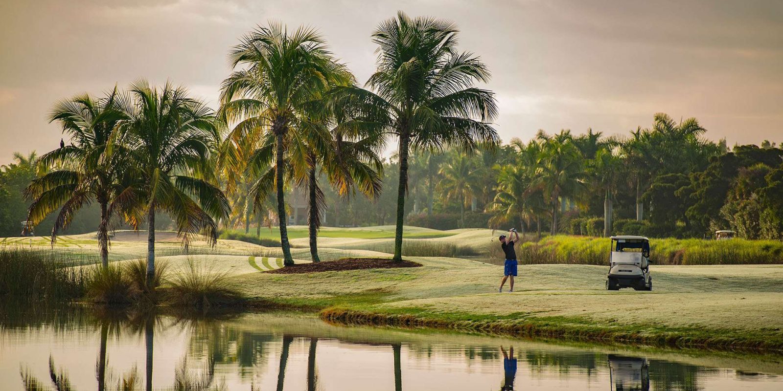 A picture of Shell Point Golf Course