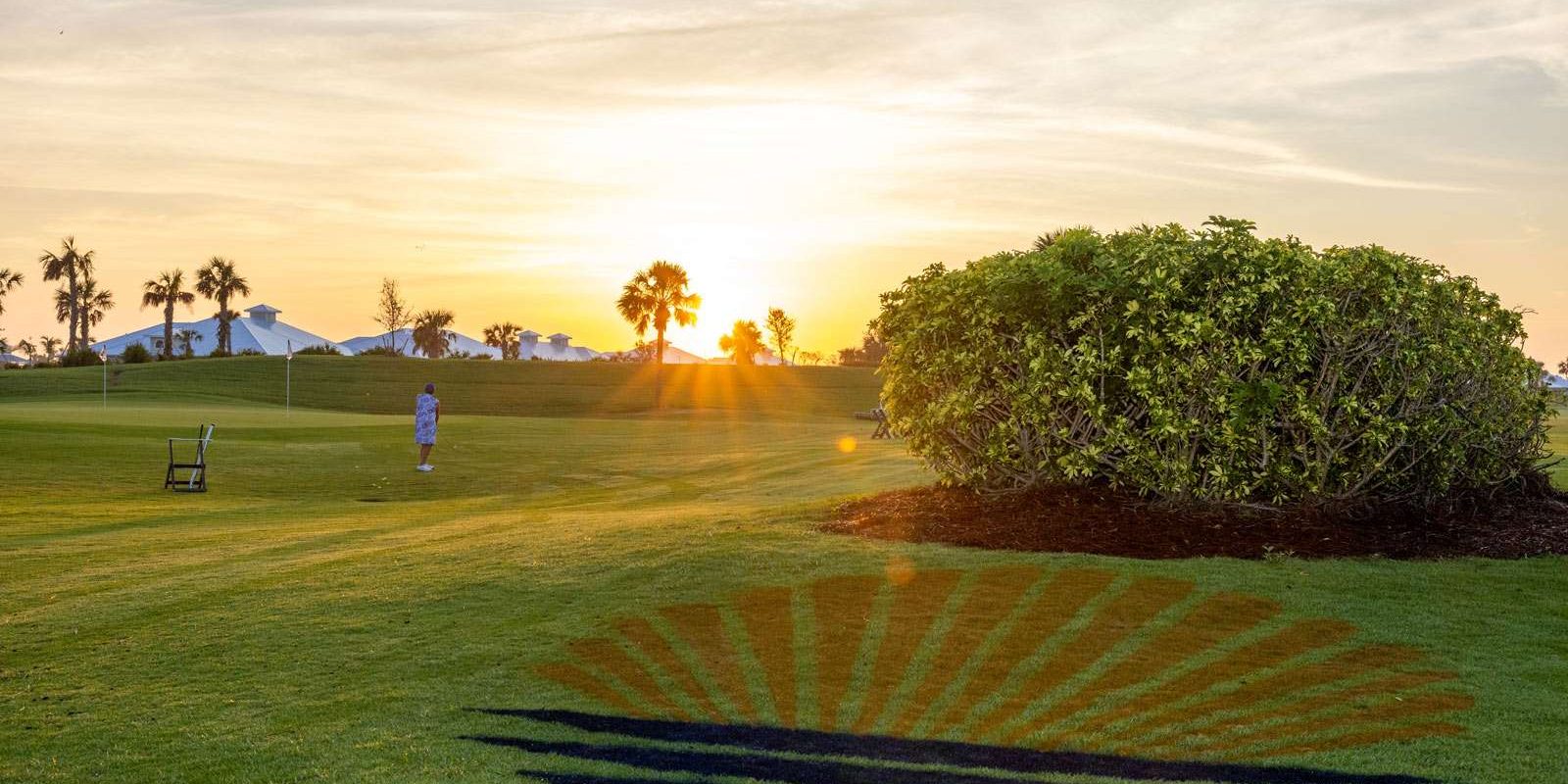 A golf course at sunset with a distant golfer, palm trees, and a large shrub on the right.
